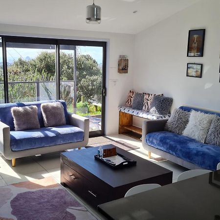 Cosy Country Cottage On A Sunny Hill New Plymouth Extérieur photo