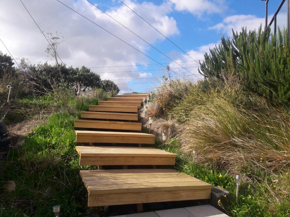 Cosy Country Cottage On A Sunny Hill New Plymouth Extérieur photo