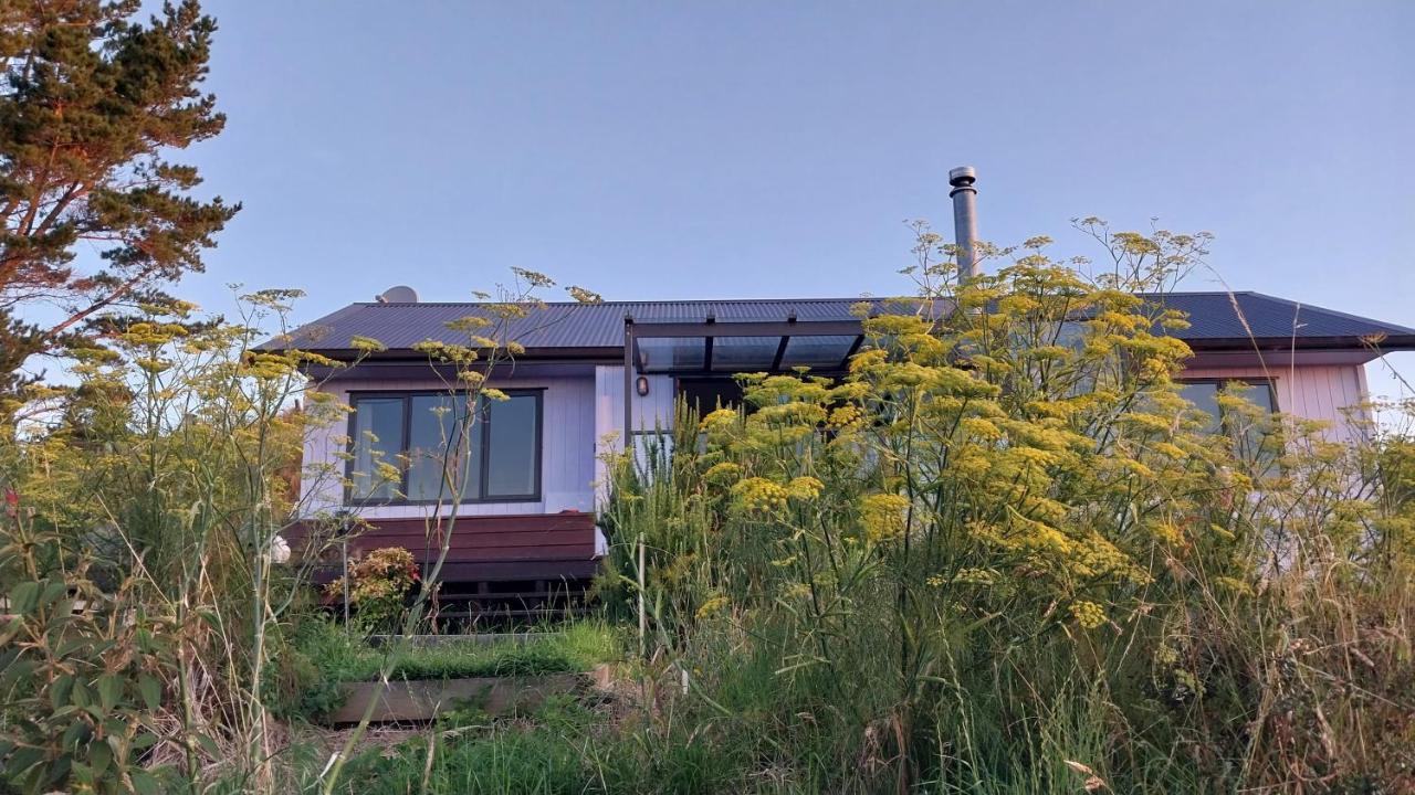 Cosy Country Cottage On A Sunny Hill New Plymouth Extérieur photo